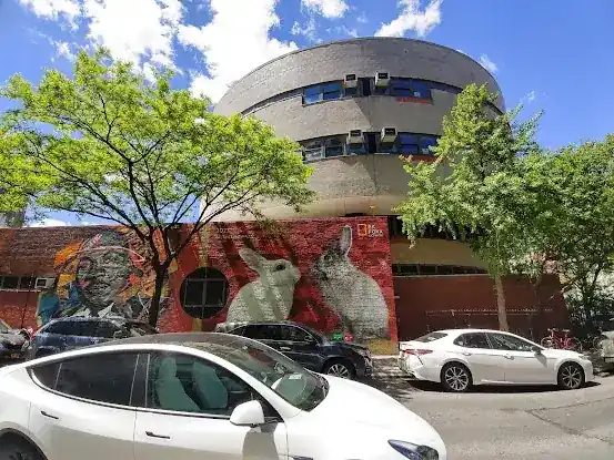 M.S. 131