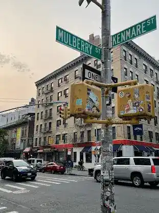 Mulberry