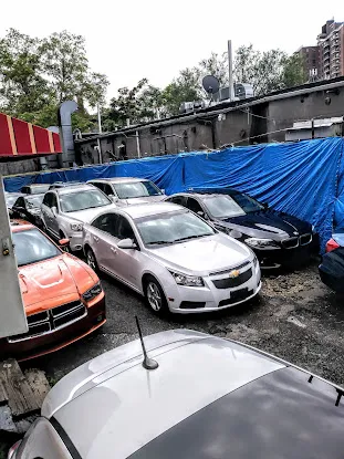 Mundo Auto Shipping