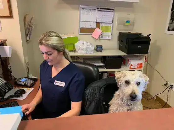 Murray Hill Pet Hospital