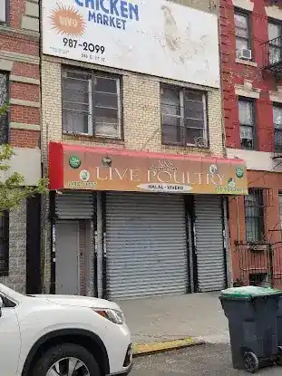 N & S Manhattan Live Poultry