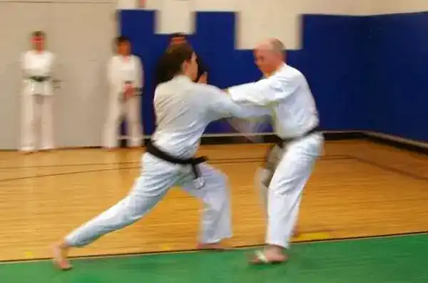 Nabi Su Tai Chi, Kung Fu & Energy