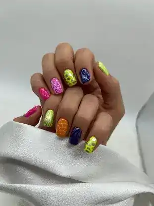Nailauri