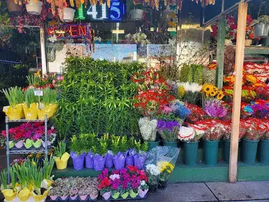 Natalie's Wholesale Flowers