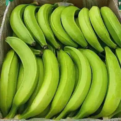National Farm Wholesale Fruit & Vegetable