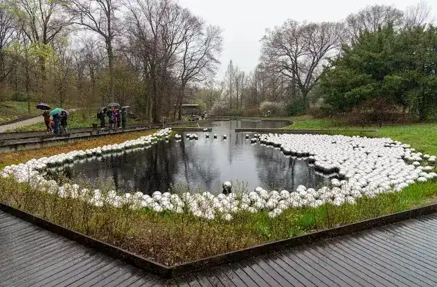 Native Plant Garden, NYBG