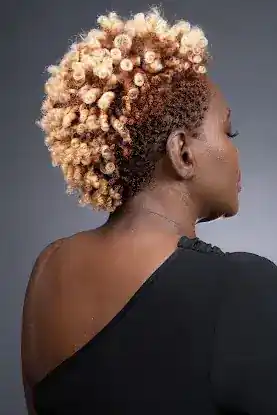 Natural Masters by New Beginnings Natural Hair Studio