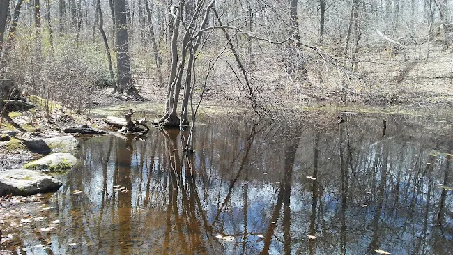Nature Center at Greenburgh