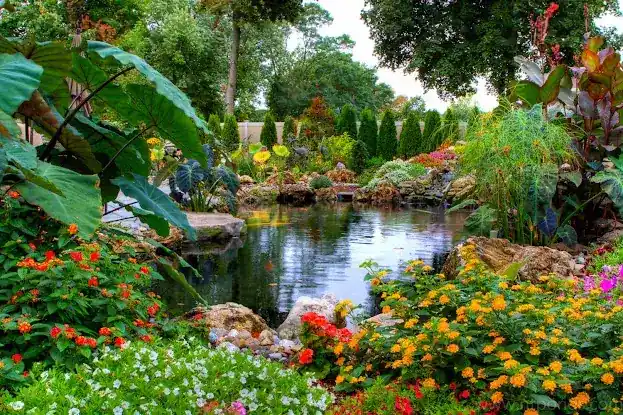 Nature's Touch Ponds, LLC