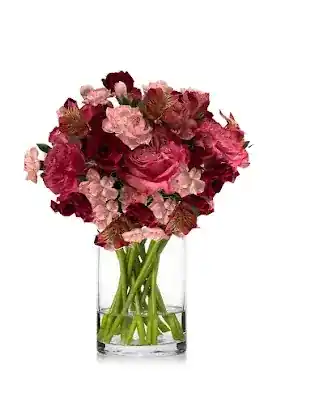 NaturesBlooms