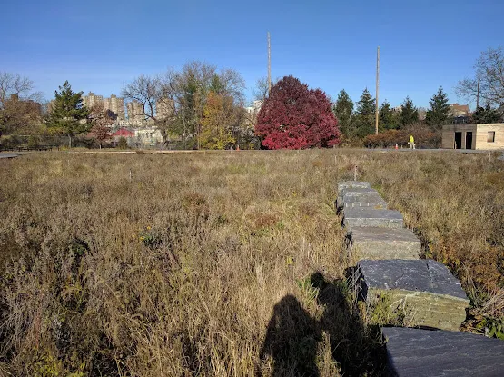 Naval Cemetery Landscape