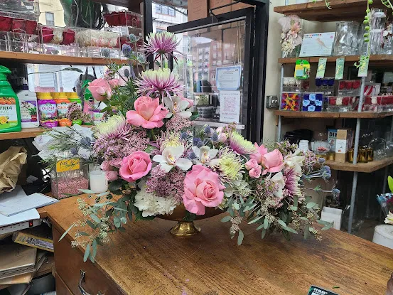 Nelly's Flowers And Plants