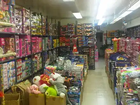 New Dragon Toy Wholesale Inc