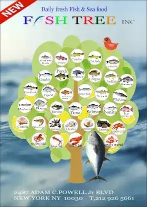 New Fish Tree Inc