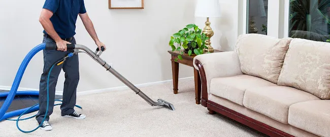 New Jersey Pro Green Solutions Rug/Sofa Cleaning
