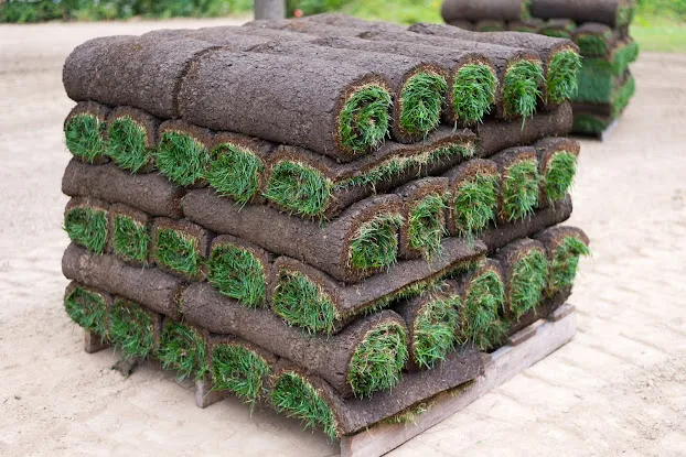 New Jersey Sod Company