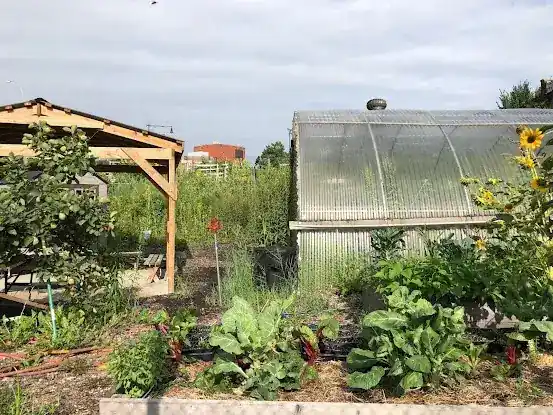 New Roots Community Farm