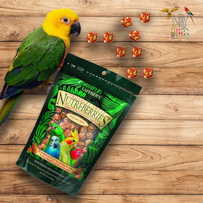 New York Bird Supply