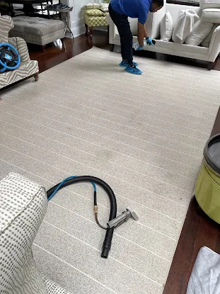 New York Carpet Cleaning
