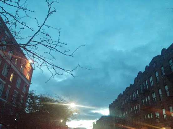 New York City Housing Authority's Park Rock Rehab