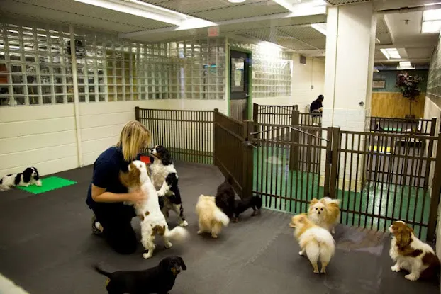 New York Dog Spa & Hotel - 25th Street