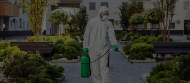 New York Environmental Systems