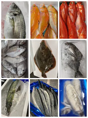 New York Fish 纽约日餐批发