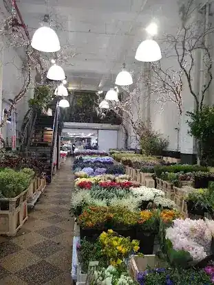New York Flower Market