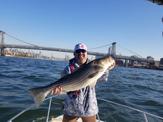 New York Harbor Fishing