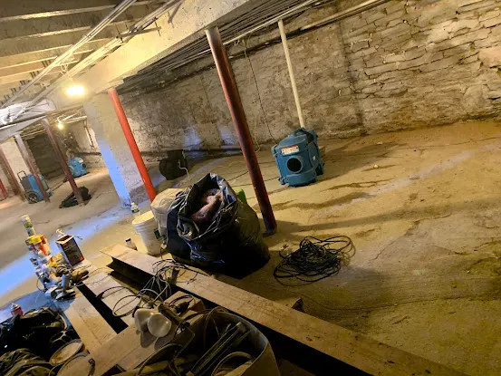 New York Mold Specialist