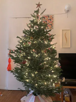 New York State of Pine