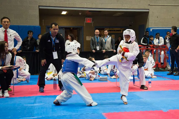 New York State Taekwondo Association