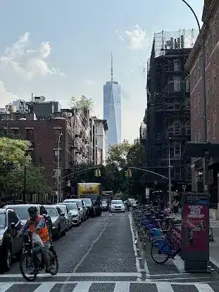 New York University Environmental Studies Program