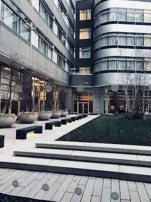 New York University Medical Center Anesthesiology
