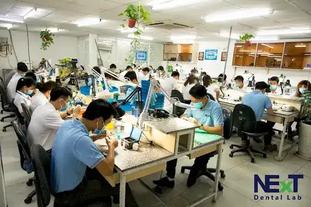 Next Dental Lab