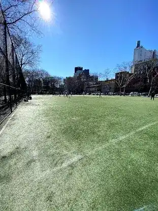 Nike Field Soccer at Sara D. Roosevelt Park