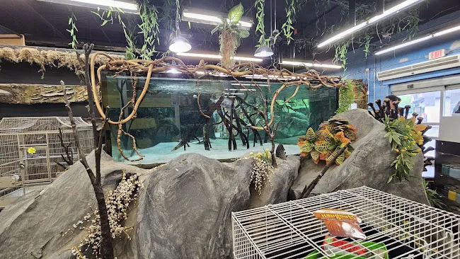 NJ Exotic Pets