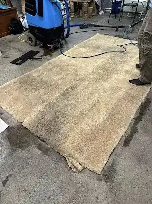 No Spot Masters Rug Cleaning