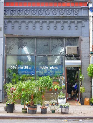 Noble Plants