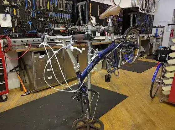 Nomad Cycle