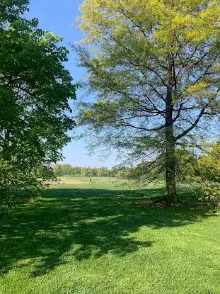 North Meadow Softball Field 12
