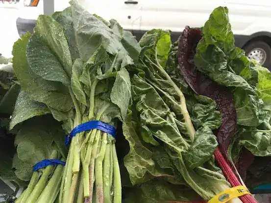 Norwich Meadows Organic Farm - Abingdon Square