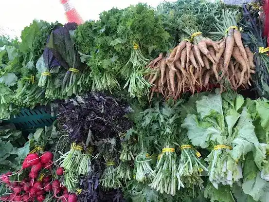 Norwich Meadows Organic Farm - Tompkins Square