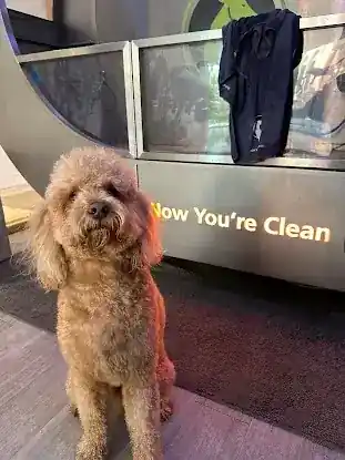 Now You're Clean - West Village