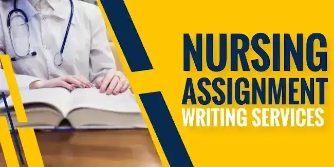 Nursing Writing Services