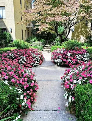 NY Horticulture Group