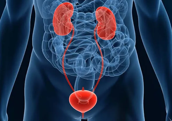 NY Urology
