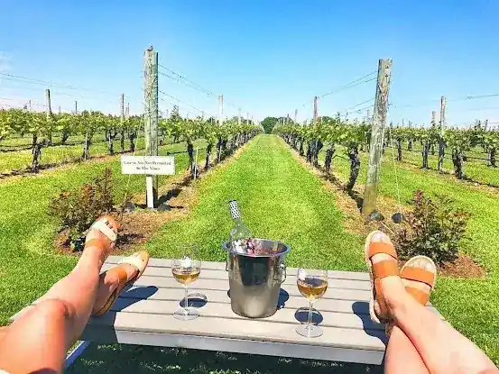 NY Wine Tours