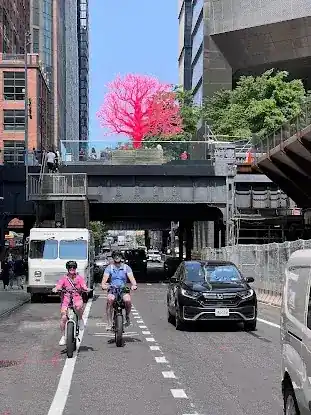 NYC Adventure eBike Tours