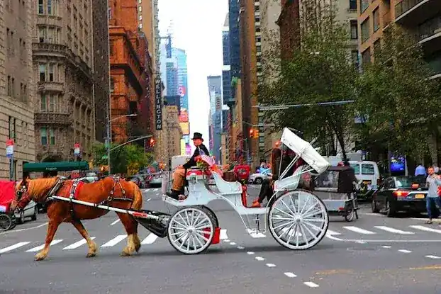 NYC GOGREEN TOURS